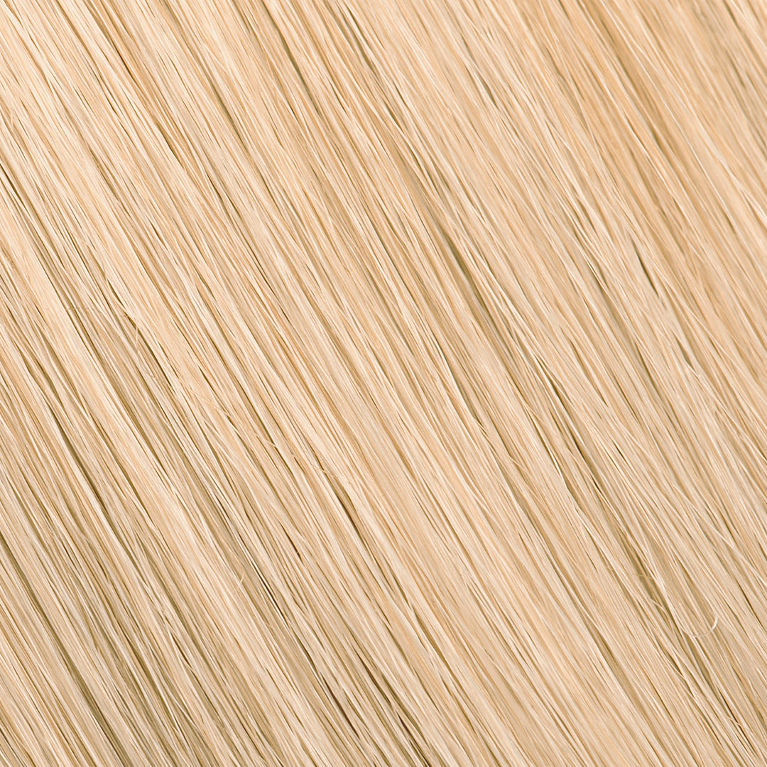 PURE COLOR - (NB) Natural Beige Series