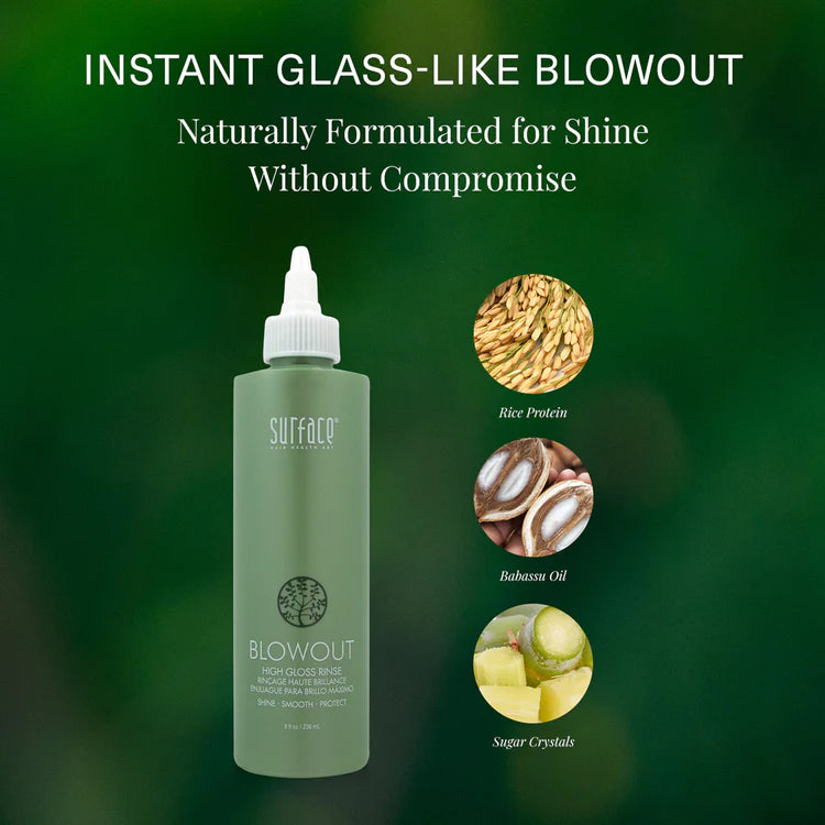 BLOWOUT - High Gloss Rinse