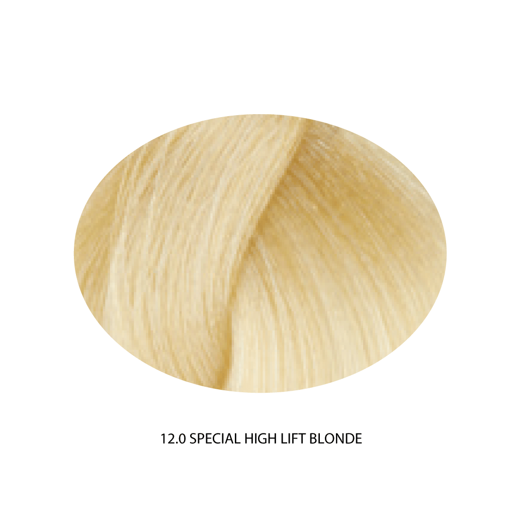 REF CREAM COLOR - High Lifts Series
