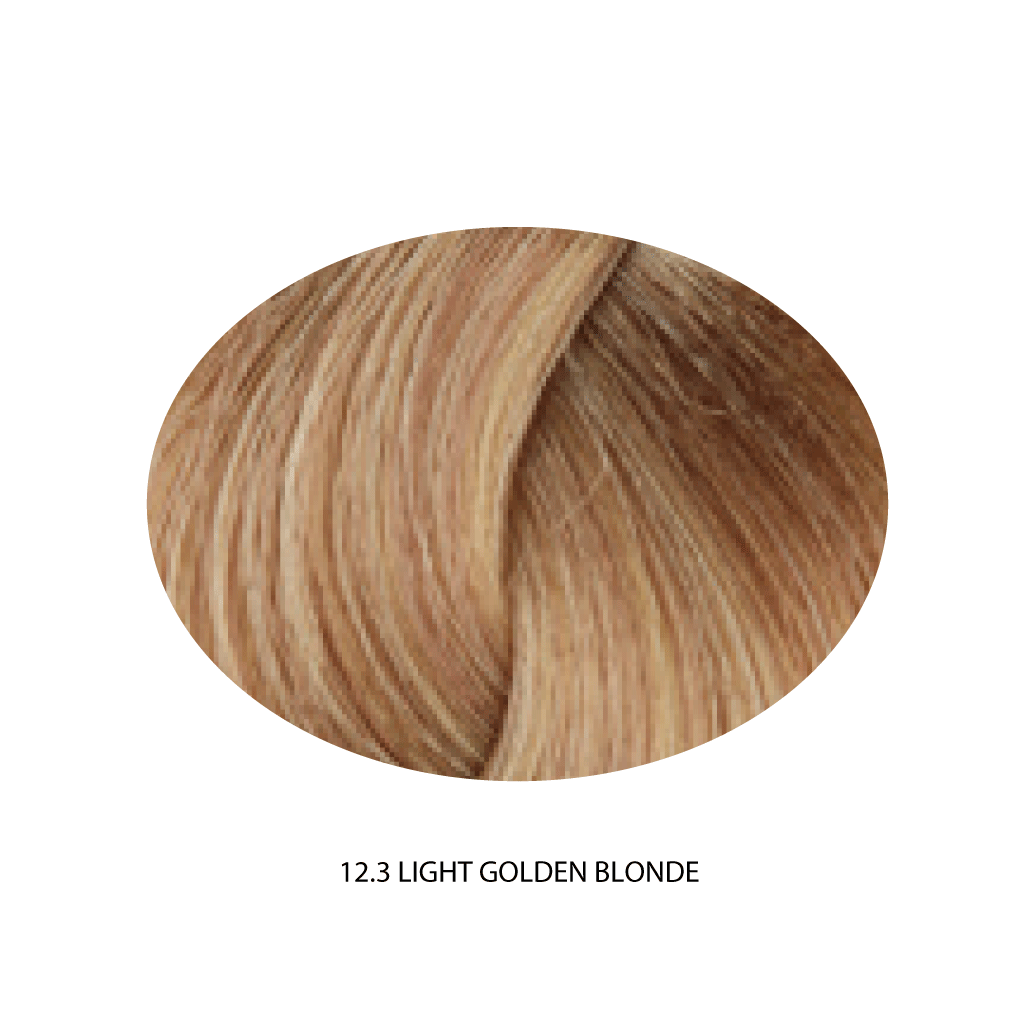 REF CREAM COLOR - High Lifts Series