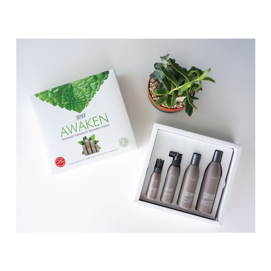 AWAKEN - Four-Step System