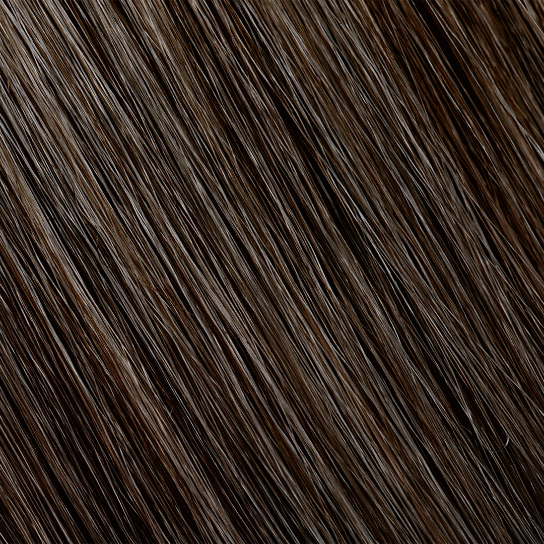 PURE COLOR - (WG) Warm Gold Series