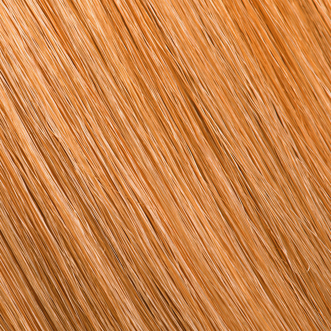 PURE COLOR - (WG) Warm Gold Series