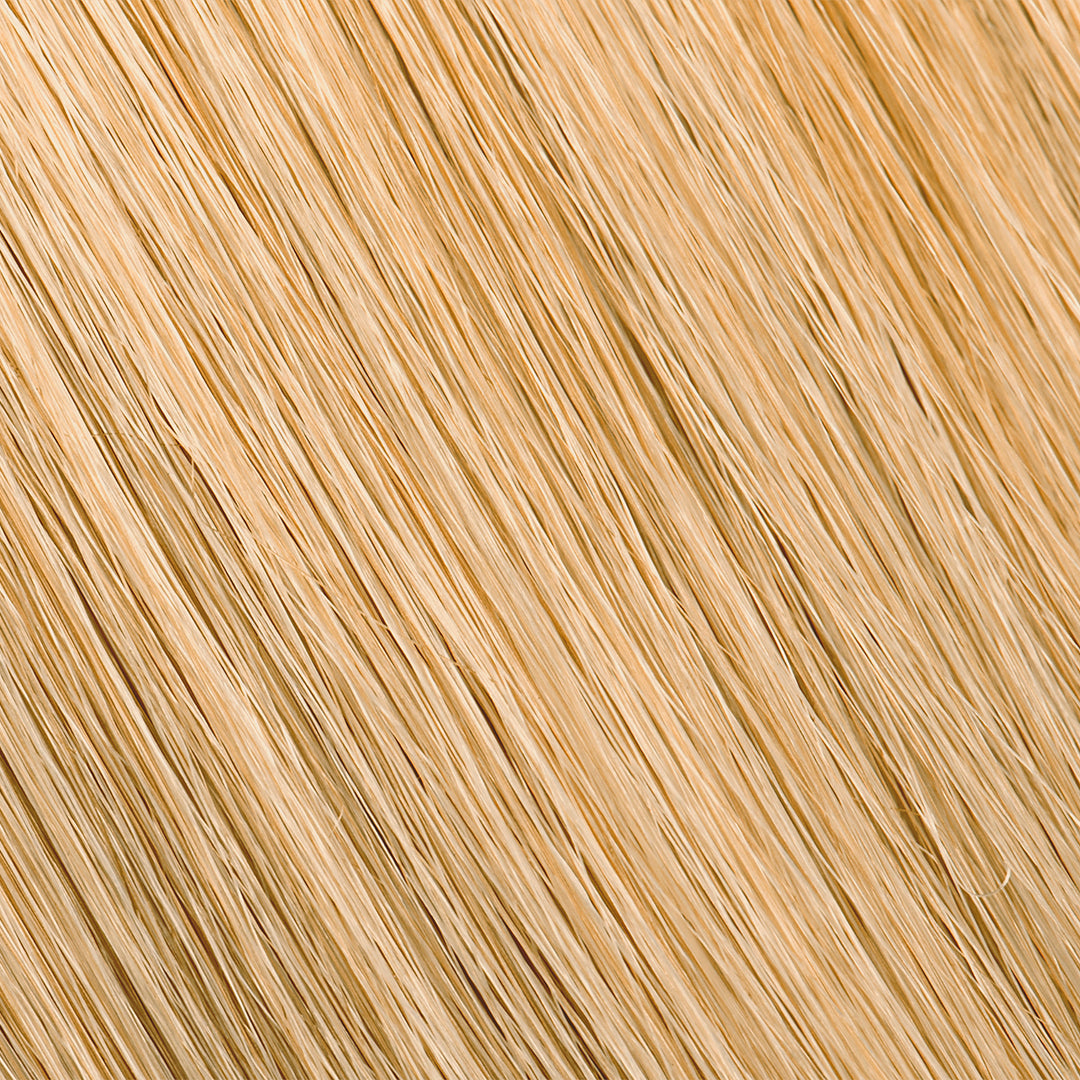 PURE COLOR - (G) Gold Series