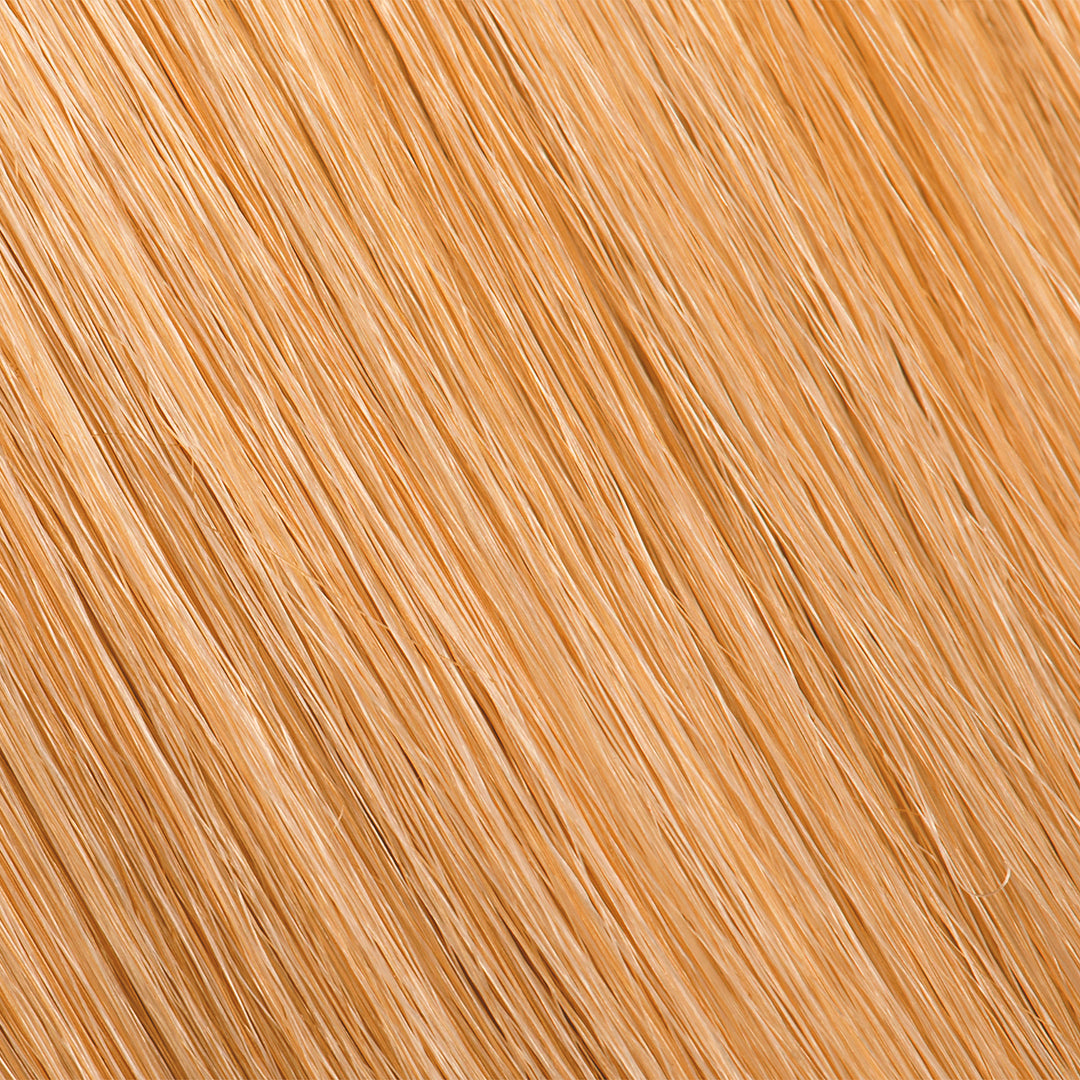 PURE COLOR - (WG) Warm Gold Series